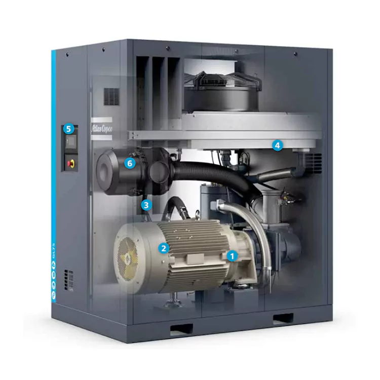 Light duty screw compressor